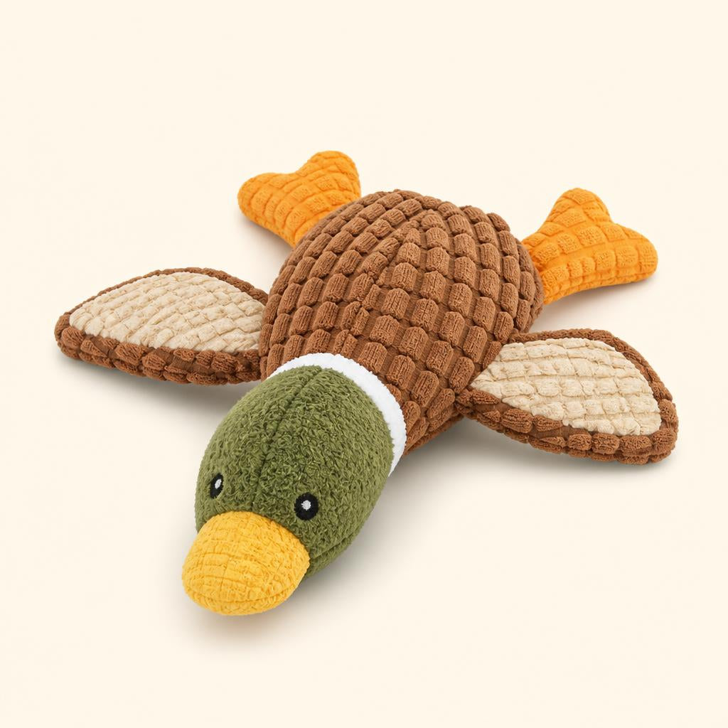 Peluche sonore pour chien – jouet en peluche durable avec grinceur